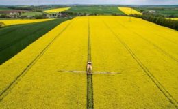 So viel Ertrag bringen klassische Rentenversicherungen