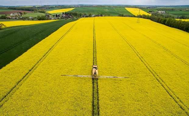 So viel Ertrag bringen klassische Rentenversicherungen