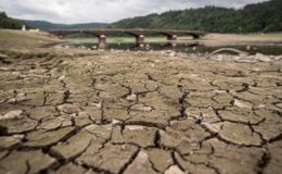 Viele Versicherungskunden haben Versorgungslücken