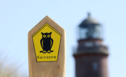 Die besten BU-Tarife von Maklerversicherern