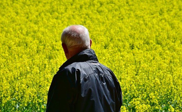 Neues Gesetz könnte 300.000 Witwen die Rente aufstocken