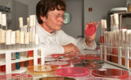 Antibiotika-Resistenzen auf dem Vormarsch