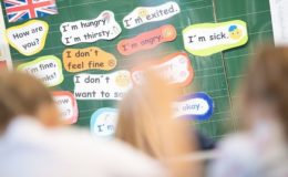 BdV kritisiert „marginal veränderte“ Neuauflage