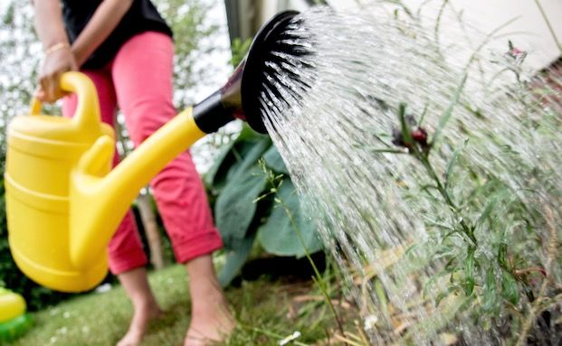 Wer bei Gefälligkeitsschäden haftet