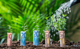 Das Spar-Plus vom Staat