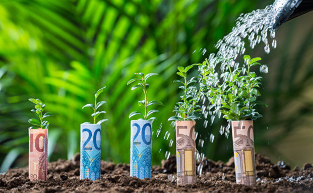 Das Spar-Plus vom Staat