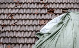 Wie ein junger Versicherungsagent über seine Arbeit denkt