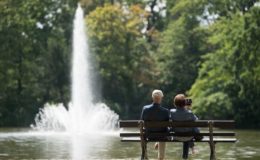 Ist ein hoher Rentenfaktor eine gute Sache?