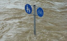 Extremes Wetter soll bald alltäglich werden