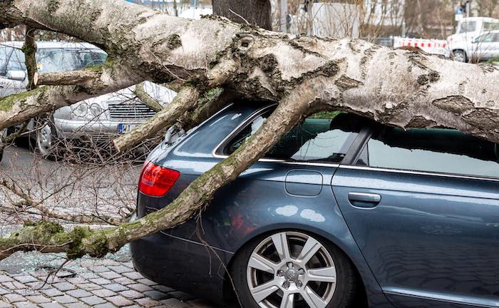 Unfall durch Sturmböe – welche Versicherung zahlt?