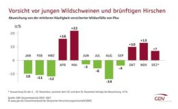 Versicherer mussten fast 270.000 Wildunfälle bearbeiten