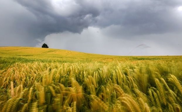 Baden-Württemberg will Policen gegen Wetterextreme bezuschussen