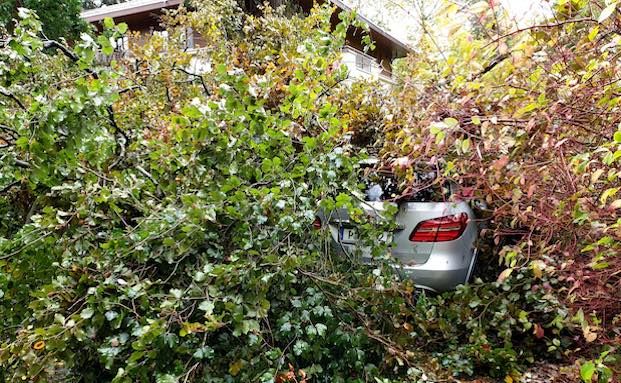 GDV beklagt hohe Schäden durch Naturgewalten und kritisiert Klimakonzept