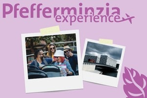 experience