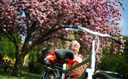 Wie die Basis-Rente auf die Grundsicherung angerechnet wird 