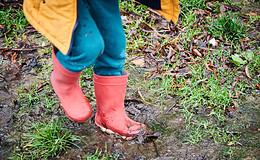 Wie Kunden auf nachhaltige Versicherungen aufmerksam werden