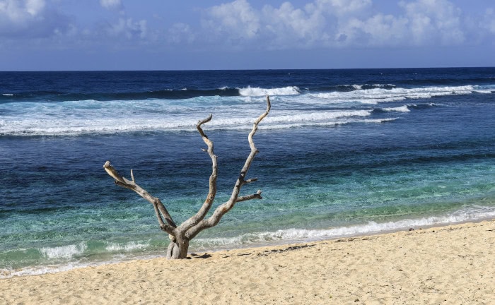 Rekordhitze in den Meeren: Was sind die Folgen?