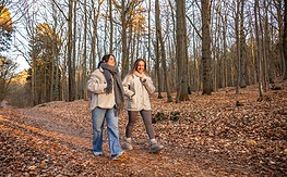Beitragsbemessungsgrenze: Was PKV-Vermittler wissen sollten