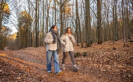 Beitragsbemessungsgrenze: Was PKV-Vermittler wissen sollten