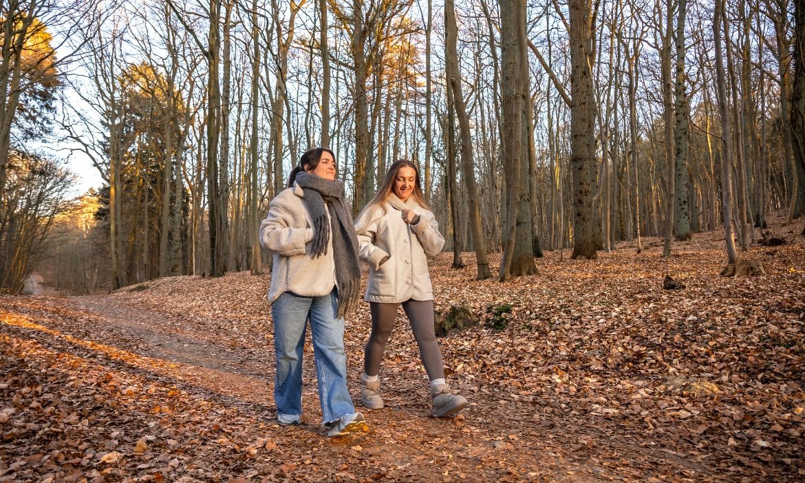 Beitragsbemessungsgrenze: Was PKV-Vermittler wissen sollten