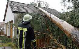 Herbststürme – welche Versicherung zahlt bei welchem Schaden? 