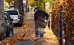 Das muss man zur Räumpflicht im Herbst wissen 