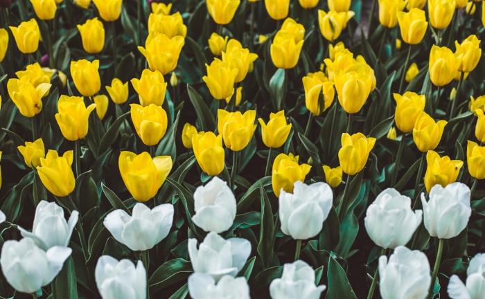 Neue Pflichten zum Thema Nachhaltigkeit - was auf Makler zukommt