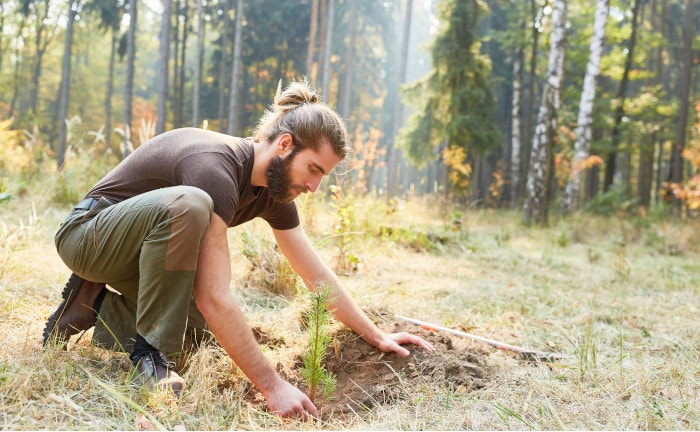 „Die Versicherungswelt grüner machen“