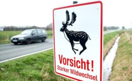 Diese Kfz-Versicherungen sind top