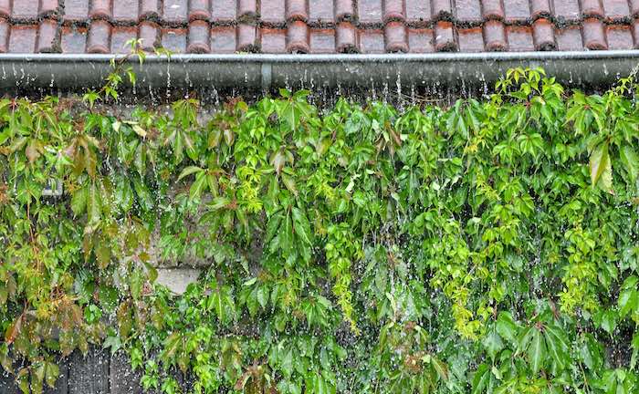 „Schäden durch Regen in den meisten Konzepten nicht versichert“