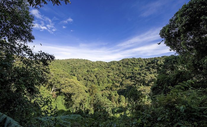 Nachhaltigkeit nur bei guter Rendite gefragt