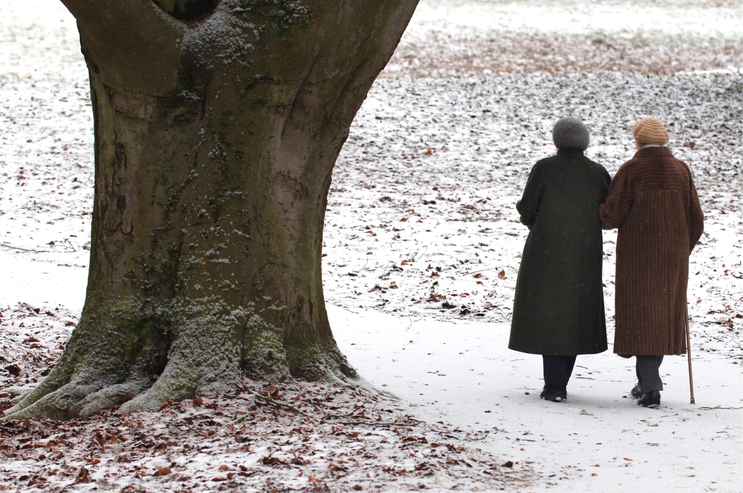 Grundrente soll 1,4 Millionen Senioren zusätzlich erreichen