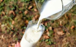 Ist Milch nun gesund, oder nicht?