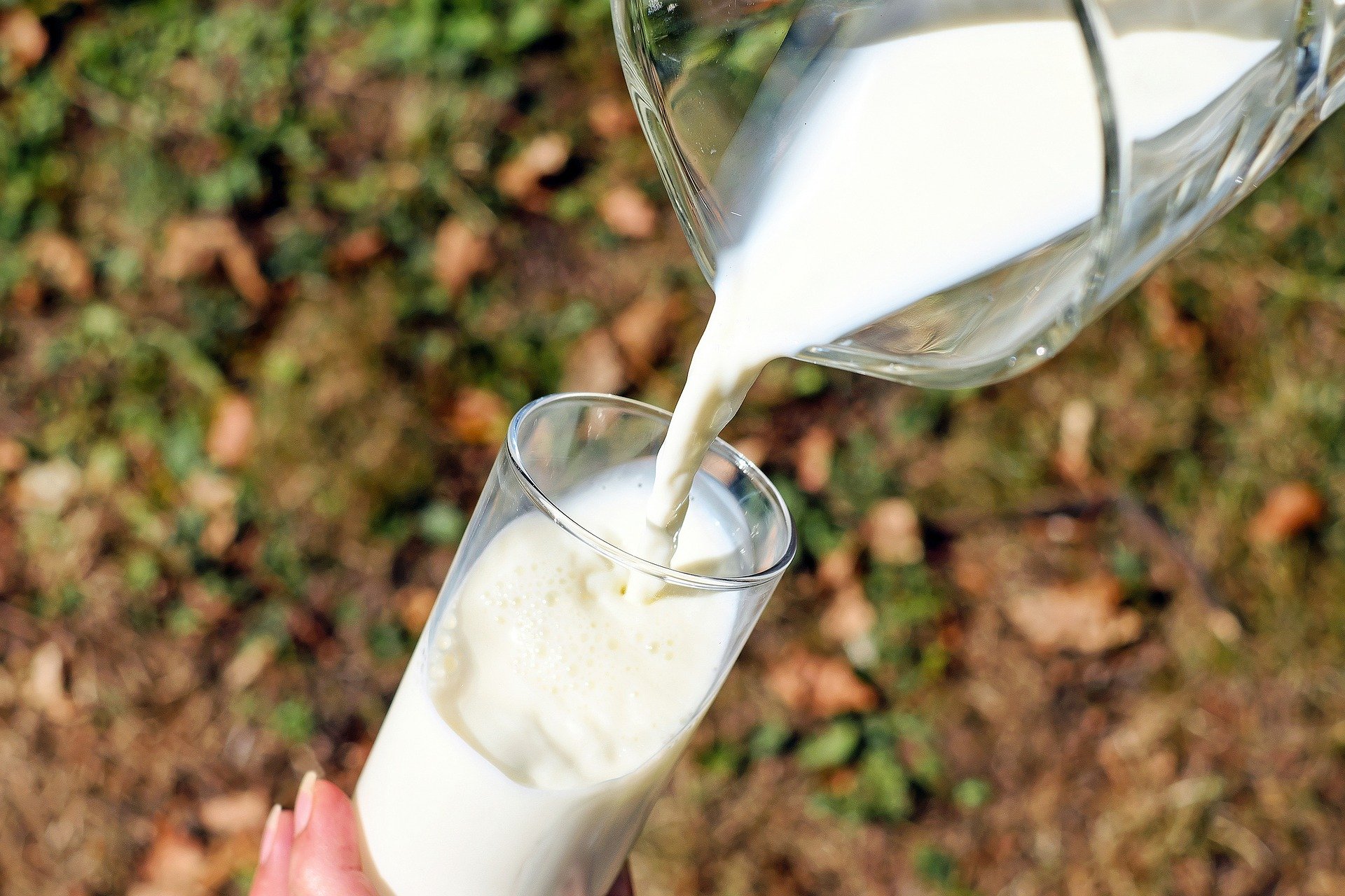 Ist Milch nun gesund, oder nicht?