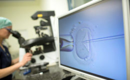 PKV muss auch bei älteren Frauen Kinderwunschbehandlung zahlen