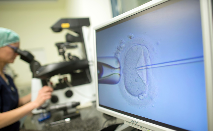 PKV muss auch bei älteren Frauen Kinderwunschbehandlung zahlen