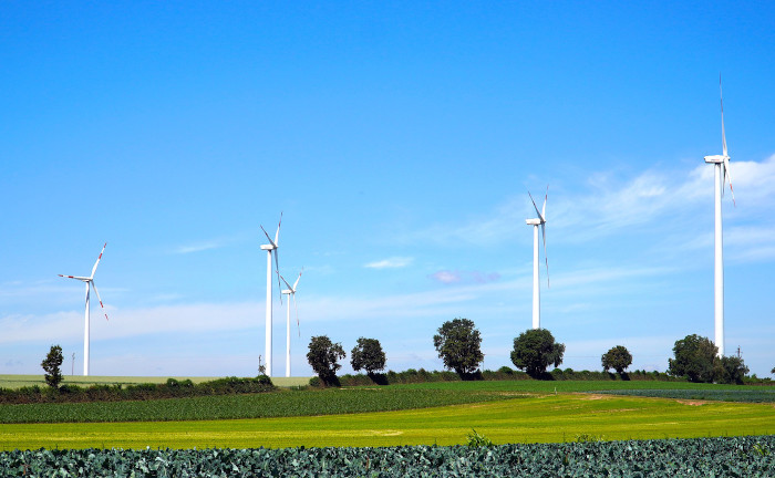 Wenn Firmen sich zu ihrer Verantwortung bekennen