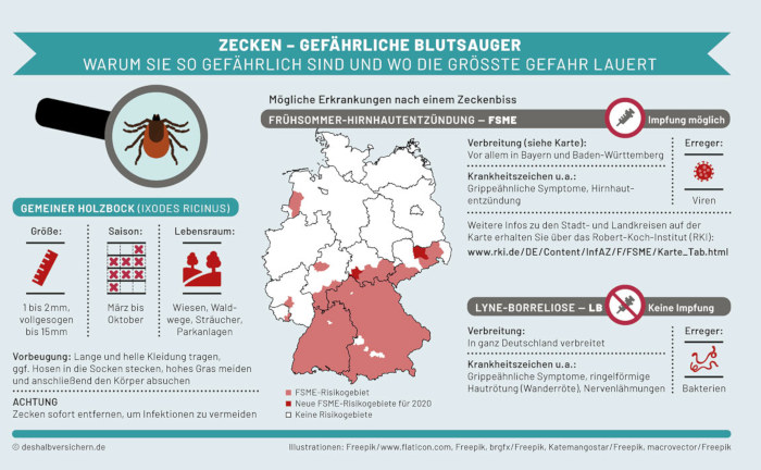 Warum die kleinen Blutsauger so gefährlich sind