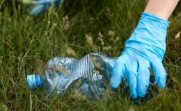 Diese Fondspolicen-Anbieter sind am nachhaltigsten