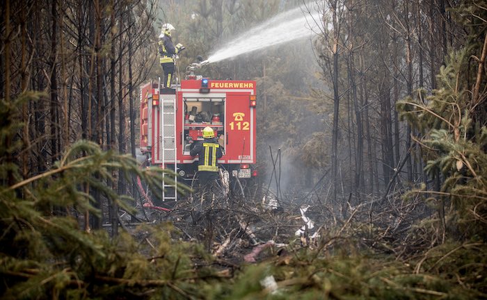 So sichern sich Waldbesitzer gegen Brände ab