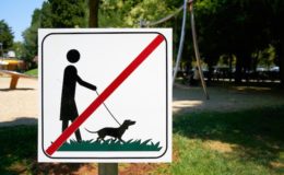 Wann der Haftungsausschluss in der Tierhalterhaftpflicht nicht greift