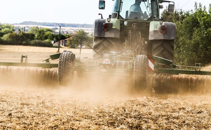 GDV fordert staatliche Unterstützung für Landwirte in Dürreperioden