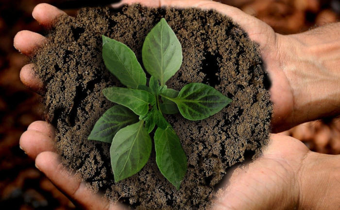 So arbeiten nachhaltige ETFs