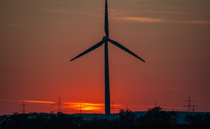 Jüngere Deutsche investieren häufig in „grüne“ Geldanlagen