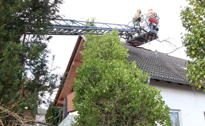 Die besten Hausrat- und Wohngebäudeversicherer aus Maklersicht