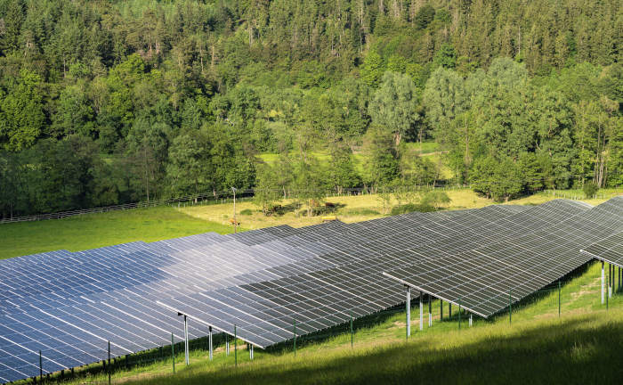 Nachhaltige Geldanlagen sind im Kommen