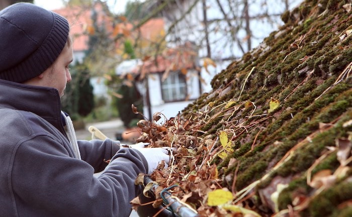 Wer herbstliches Laub aus der Dachrinne entfernen muss