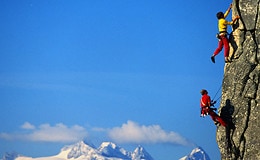 Insurtech-Investitionen erreichen neuen Höchststand