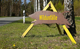 Wildschäden umfassend abdecken