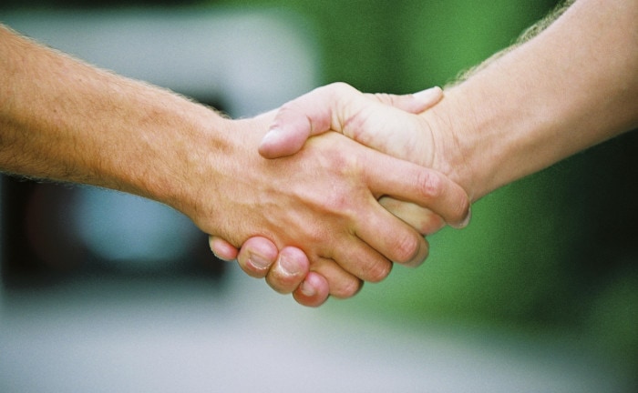 Maklerpools kommen gut durch die Krise